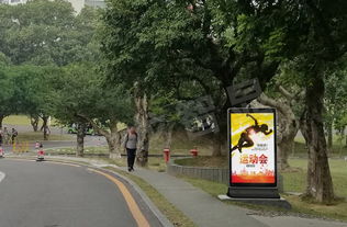 點亮城市智慧之眼 戶外大屏在智慧城市中的多元化應用
